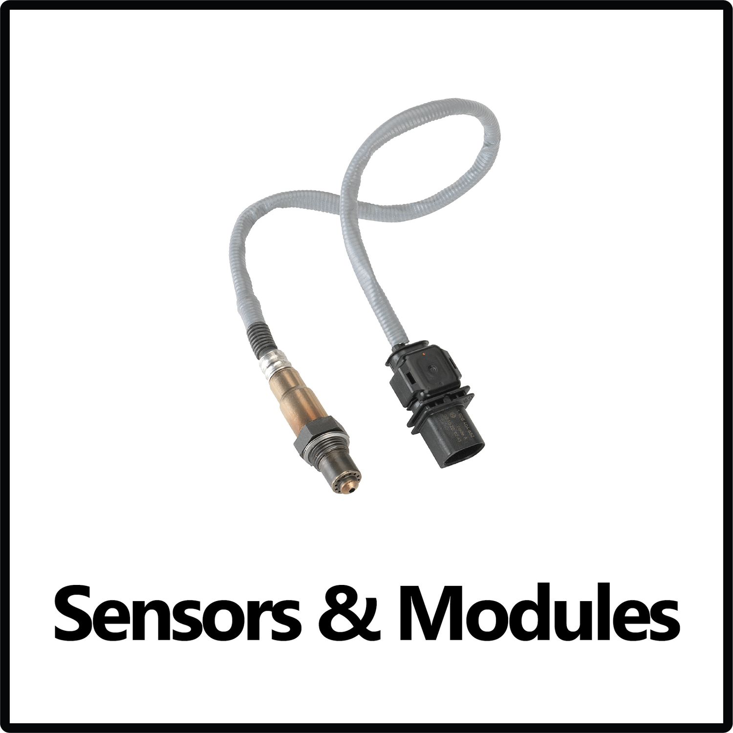 Sensors & Modules